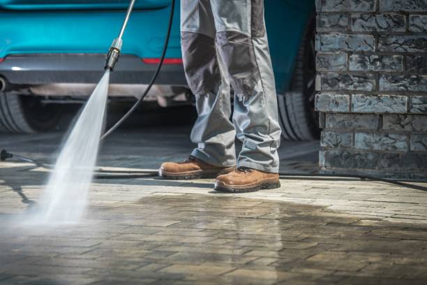 Best Driveway Pressure Washing  in Fairmont City, IL